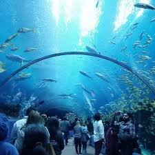Top Tours in Cancun Explore Caribbean Beaches Mayan Ruins