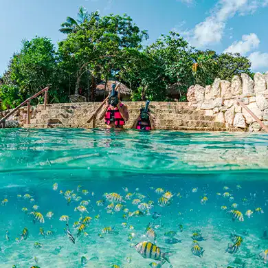 Top Tours in Cancun Explore Caribbean Beaches Mayan Ruins