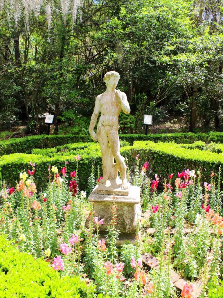 Top Tours in Charleston Discover Historic Charm Beauty