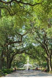 Top Tours in Savannah Discover Southern Charm History