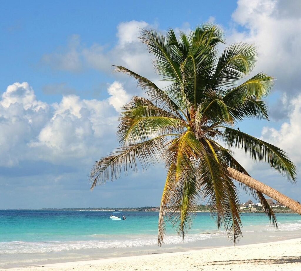 Tulum Mayan Ruins Beaches Best Time to Visit