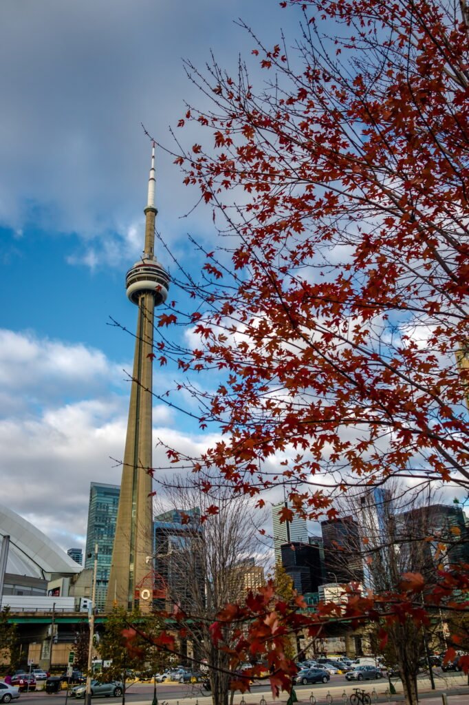 CN Tower and Autumn vegetation Toronto Ontario Canada