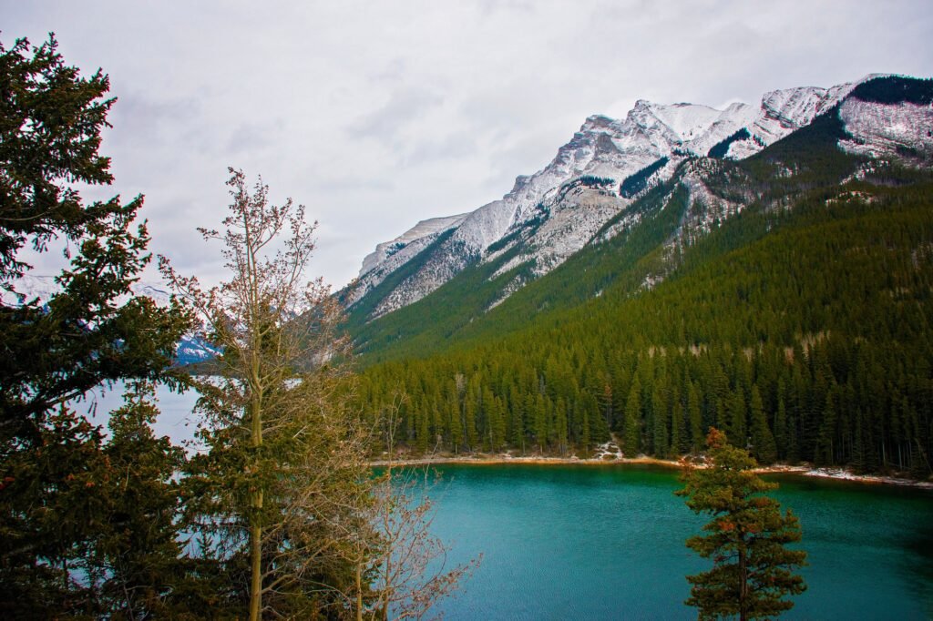 Banff Tours Lake Louise Mountains Wildlife