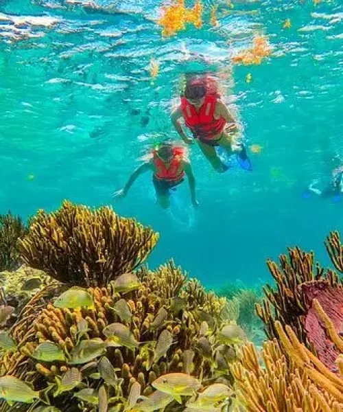 Top Tours in Cancun, Explore Caribbean Beaches & Mayan Ruins
