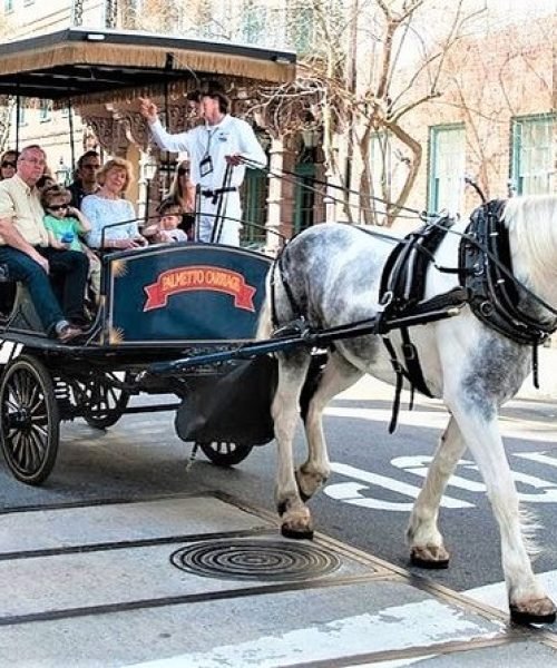 Top Tours in Charleston - Discover Historic Charm & Beauty