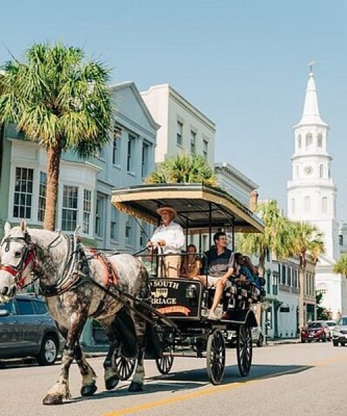 Top Tours in Charleston - Discover Historic Charm & Beauty