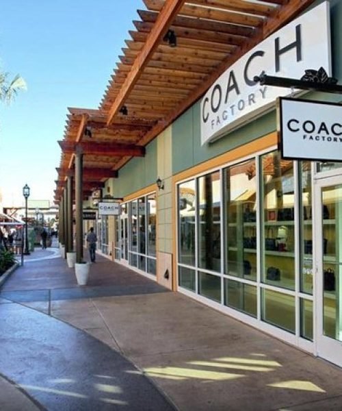 Top Tours in Houston - Explore Space, Culture & Cuisine