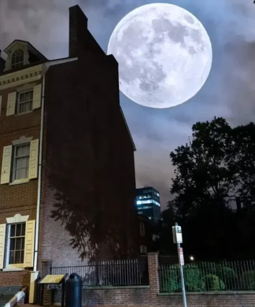 Top Tours in Philadelphia - Explore History & Art