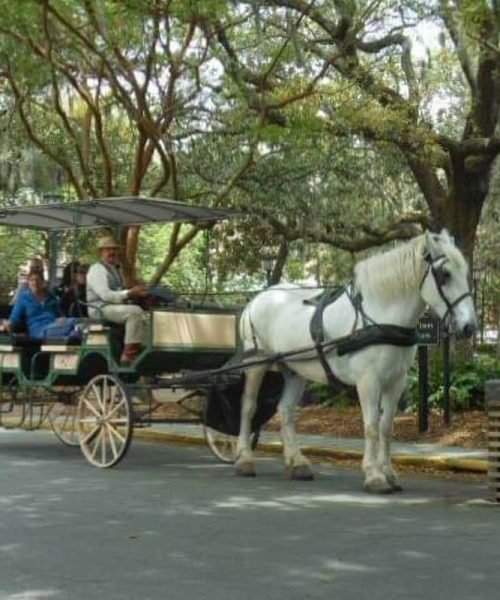 Top Tours in Savannah - Discover Southern Charm & History