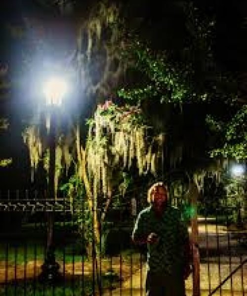 Top Tours in Savannah - Discover Southern Charm & History