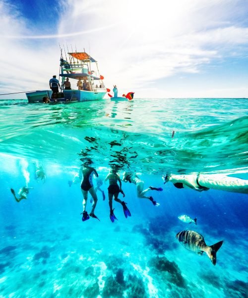 Palancar Reef