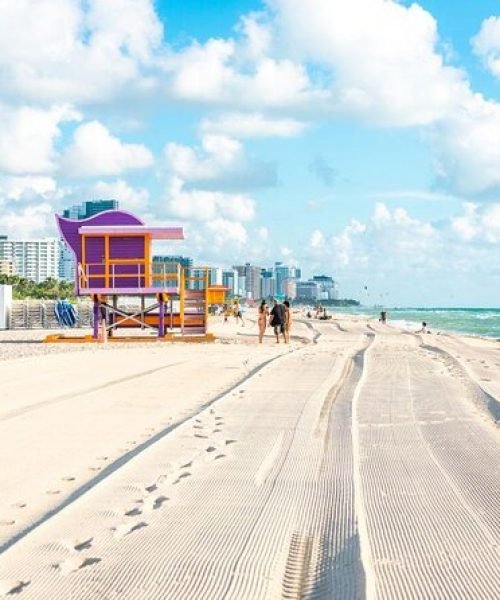 Top Tours in Miami - Explore Beaches & Culture
